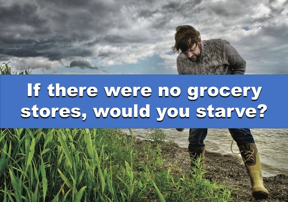 If You Had to Forage for Food, Would You Starve?